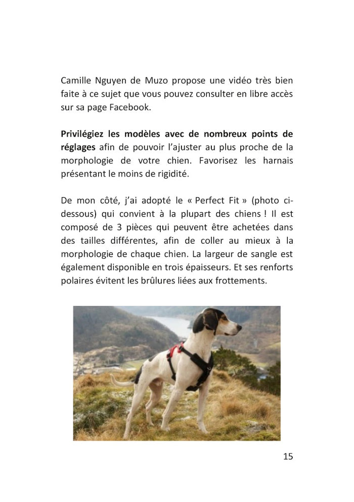 Démarrez de la bonne patte !