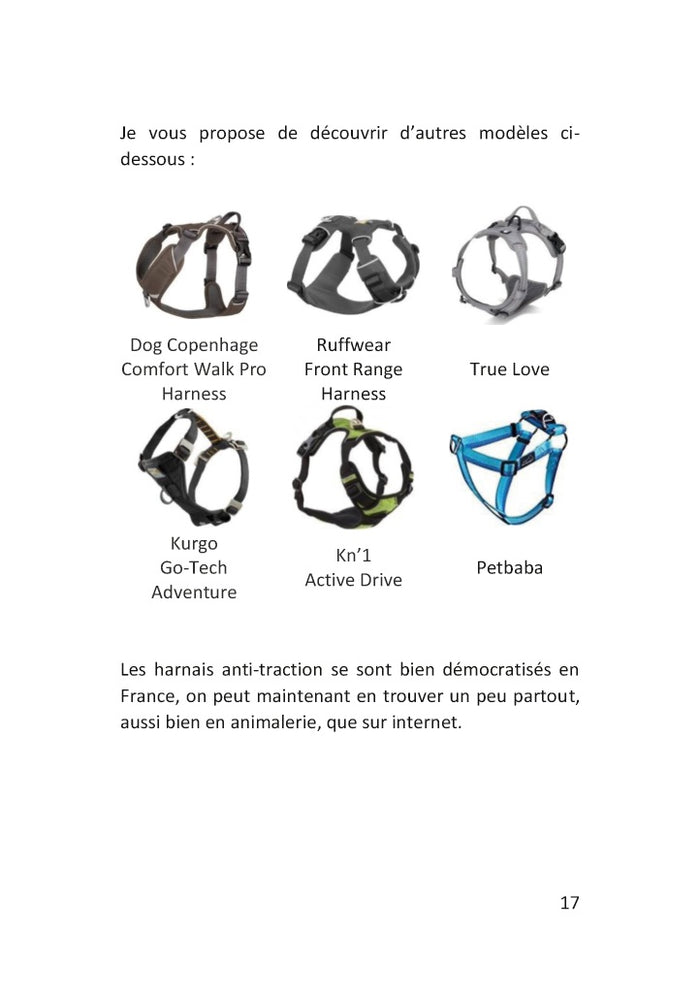 Démarrez de la bonne patte !