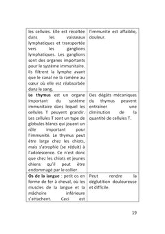 Démarrez de la bonne patte !