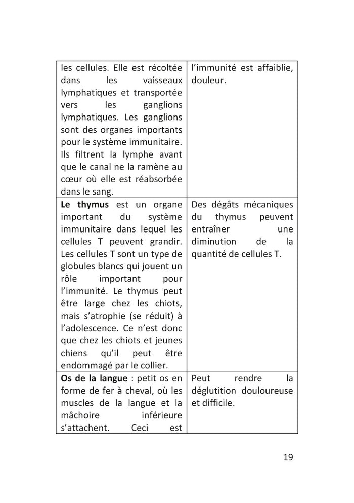 Démarrez de la bonne patte !