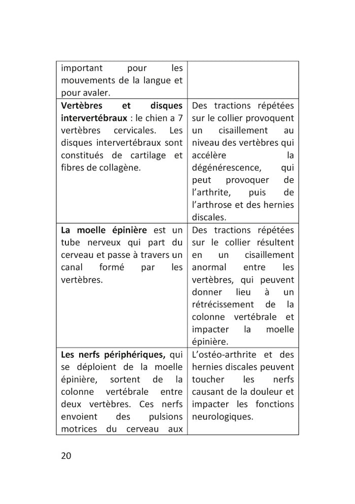 Démarrez de la bonne patte !