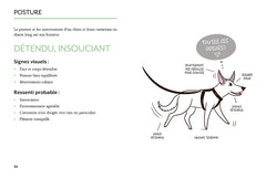 Le langage du chien - Comprendre tout ce qu'il veut vous dire
