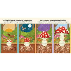 Le petit champignon