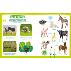 Mon imagier sonore - bébés animaux