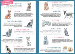 Agenda Chats et chatons 2024-2025