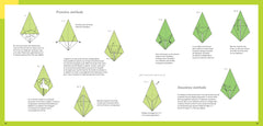 Leçons d'Origami