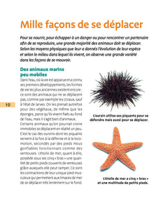 La vie animale 6-12 ans