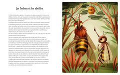 Bonne nuit ! Histoires d'animaux à lire en 5 minutes - 70 courts récits pour s'endormir paisiblement