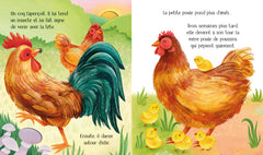 Le poussin - Le cycle de la vie