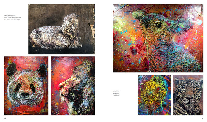 Le monde de C215, L'art du pochoir de rue