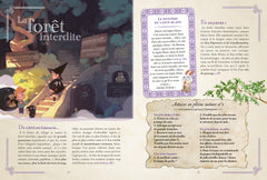 Brume - Mon grand livre de magie