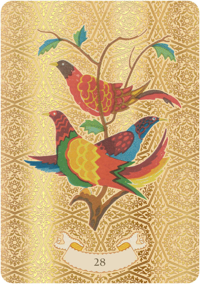 Coffret l'oracle doré de Nostradamus