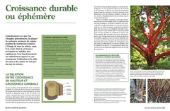 La taille raisonnée des arbustes