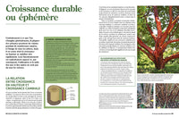 La taille raisonnée des arbustes