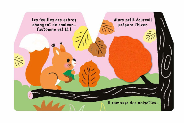 Cache-cache petit écureuil