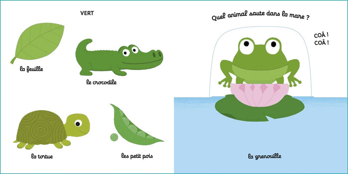 Mon imagier animé les couleurs