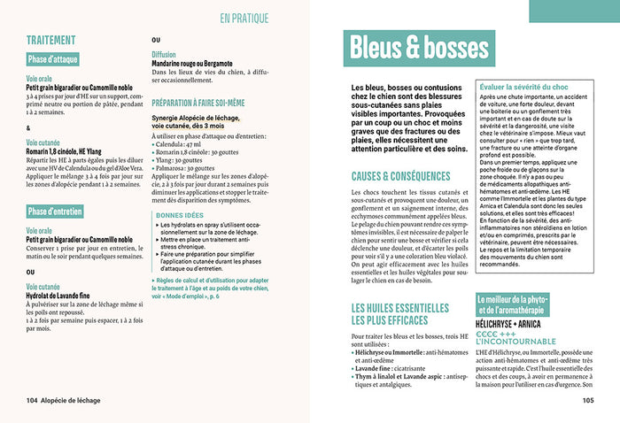 Soigner son chien avec les huiles essentielles