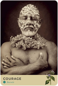 Oracle de la nature sacrée