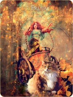 L'oracle initiatique des chats