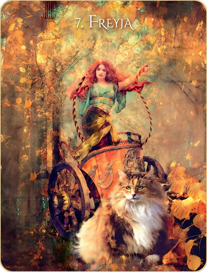 L'oracle initiatique des chats