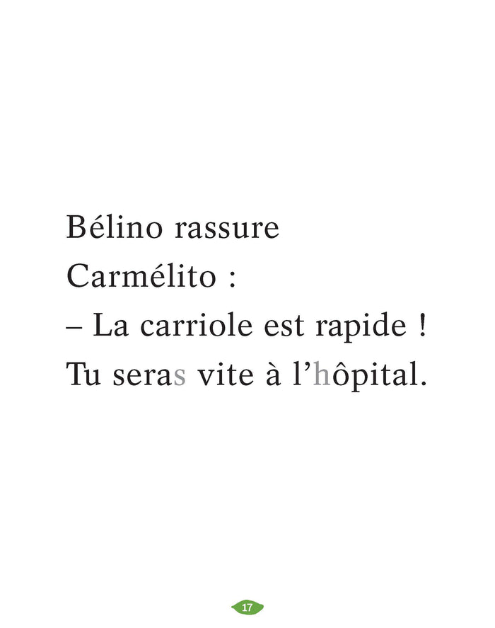 La patte cassée de Carmélito