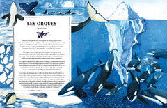 Oceanopedia