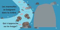 Cache-cache dans la forêt