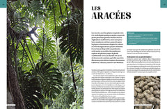 Encyclopédie des plantes d'intérieur