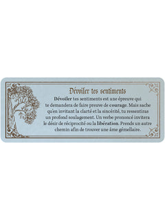 Le petit oracle grimoire de fées