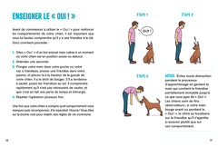Le guide du dog parent - L'éducation par le " oui ! "