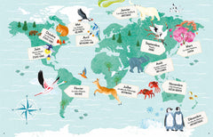 Une année autour du monde