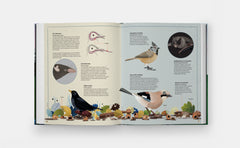 Quand un arbre tombe