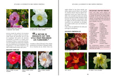 Des fleurs toutes l'année - Les conseils et les plantes pour un beau jardin aux floraisons généreuses