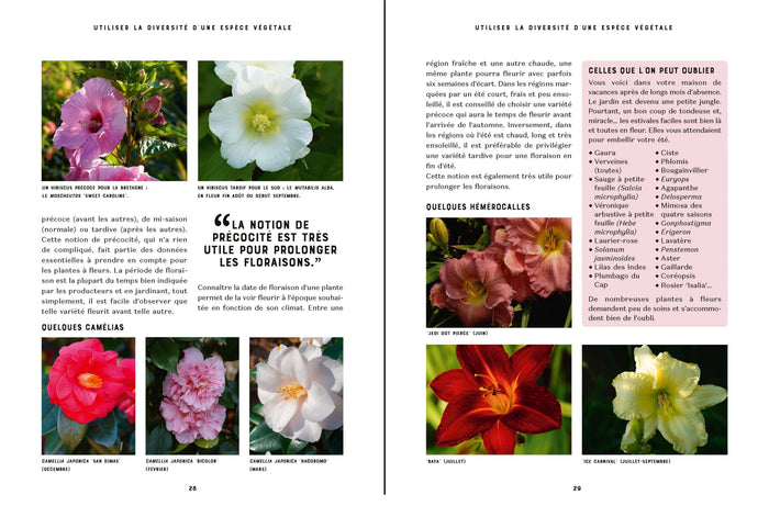 Des fleurs toutes l'année - Les conseils et les plantes pour un beau jardin aux floraisons généreuses