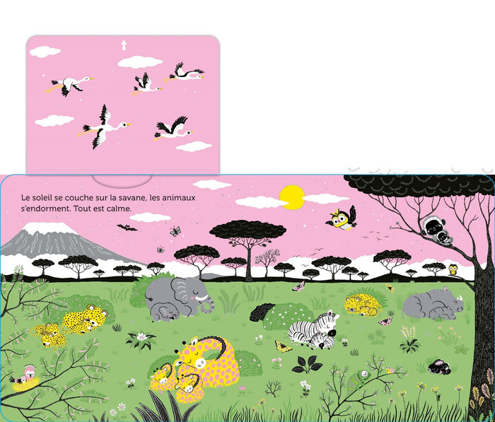 Promenade dans la savane