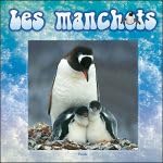Petit doc'animalier/les manchots