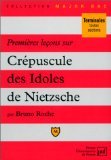 Premières leçons sur "Crépuscule des idoles" de Nietzsche