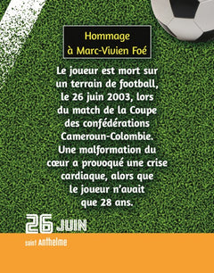 Le Grand 365 jours de foot