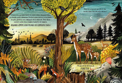 Dans la forêt secrète