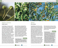 Plantes sauvages comestibles et toxiques