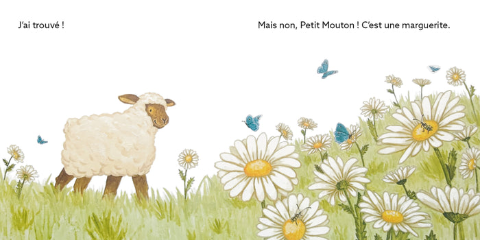 C'est quoi une rose ?