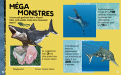 Requin - Construis ton requin géant en 3D