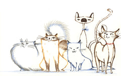 Roger le chat (pas trop) malin et le morceau de camembert