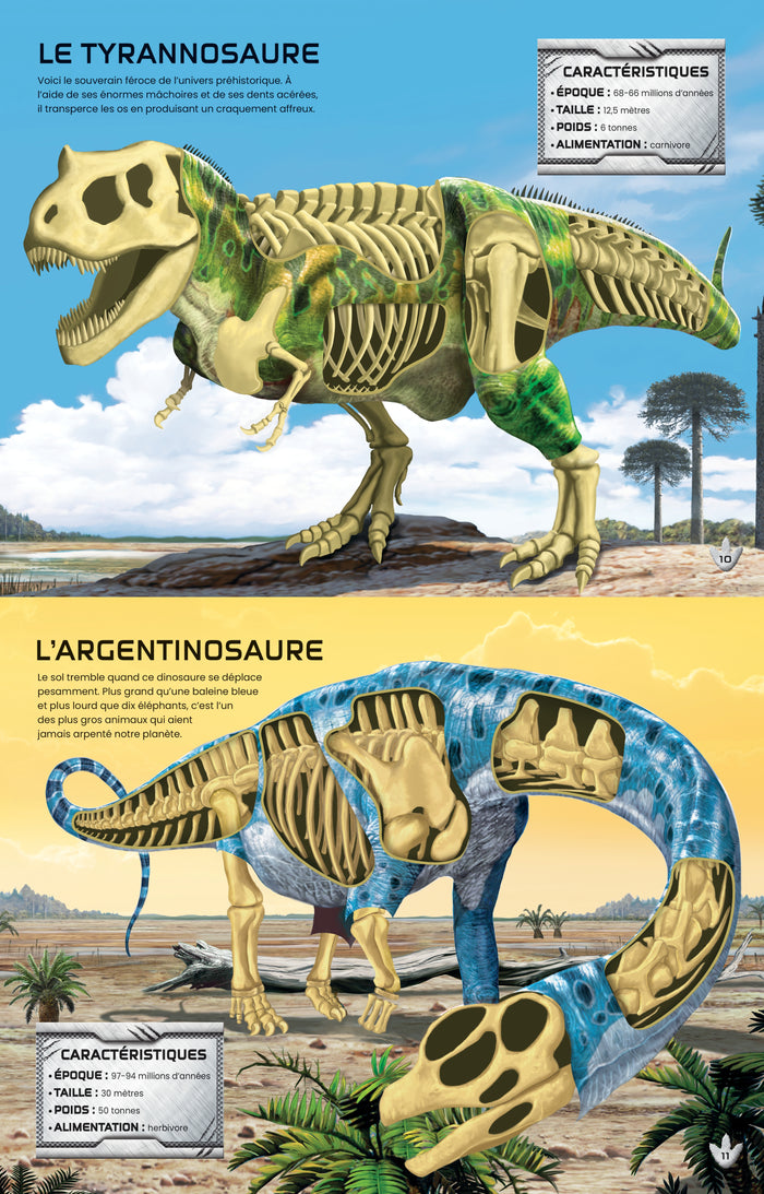 Construis tes dinosaures avec des autocollants - Volume combiné