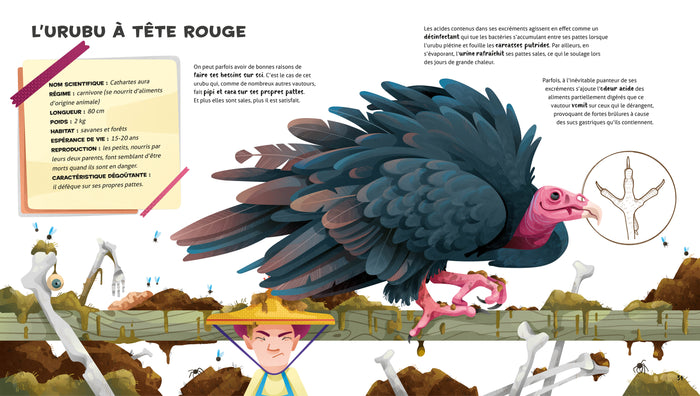 Le fantastique catalogue des animaux dégoûtants