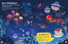 L'océan