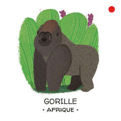 Protégeons les animaux. Les forêts tropicales