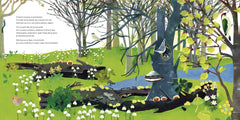 Forêt sauvage