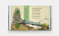 Quand un arbre tombe