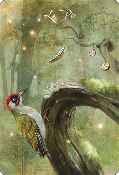 L'Oracle des Oiseaux messagers